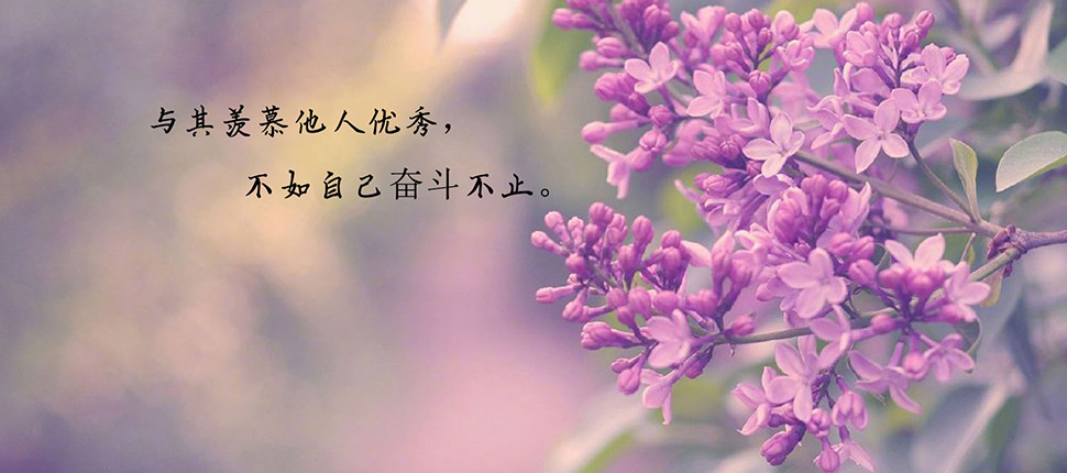 你的标题