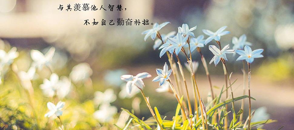 你的标题